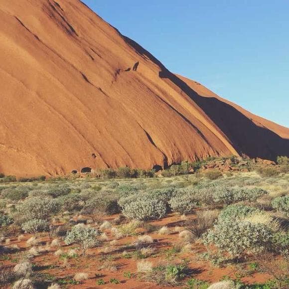 josh fox Quotes Climate,Powerful,Remarkable