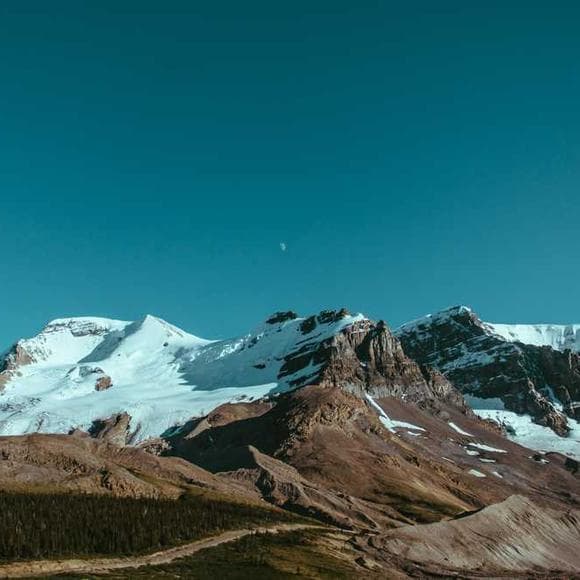 b. c. forbes Quotes Concentration,Retirement Age,Retirement