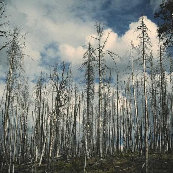 joel henry hildebrand Quotes Damage,Series,Professors