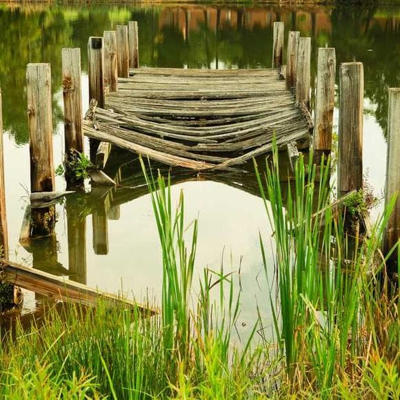 stephen gardiner Quotes Calm,Surroundings