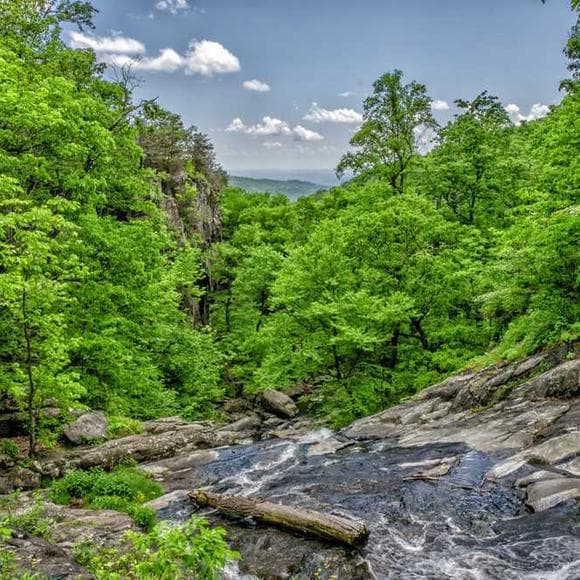 martin luther king, jr. Quotes Extremism,Hills,Dramatic