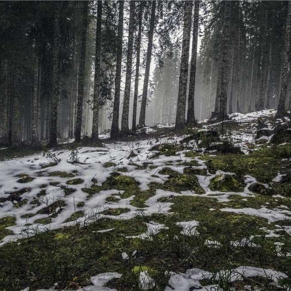 hans urs von balthasar Quotes Senses,Camps,Finding The One
