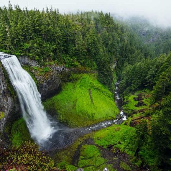 henry david thoreau Quotes Woods,Native,Wilderness