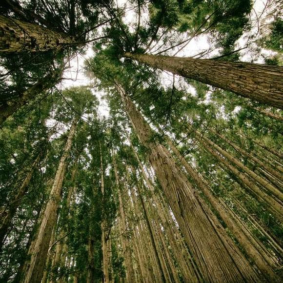 robert solow Quotes Catastrophe,Resources,Natural Resources