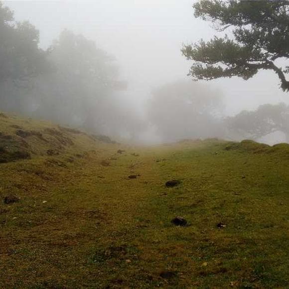 brownie mcghee Quotes Hiking,Follow Me,Causes