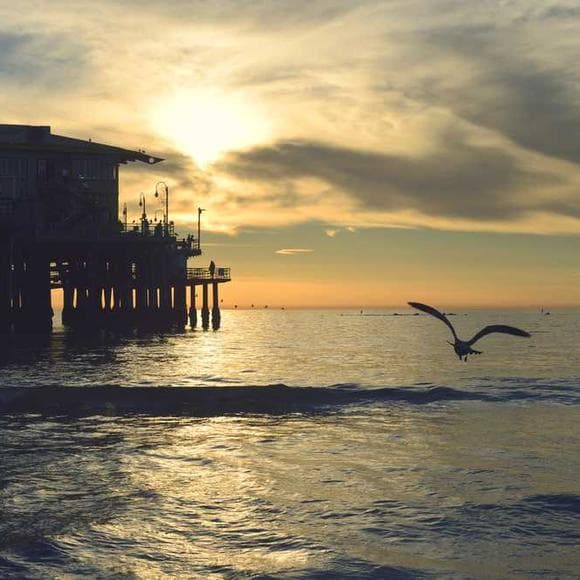 neale donald walsch Quotes Live Life,Celebrate,Expanding