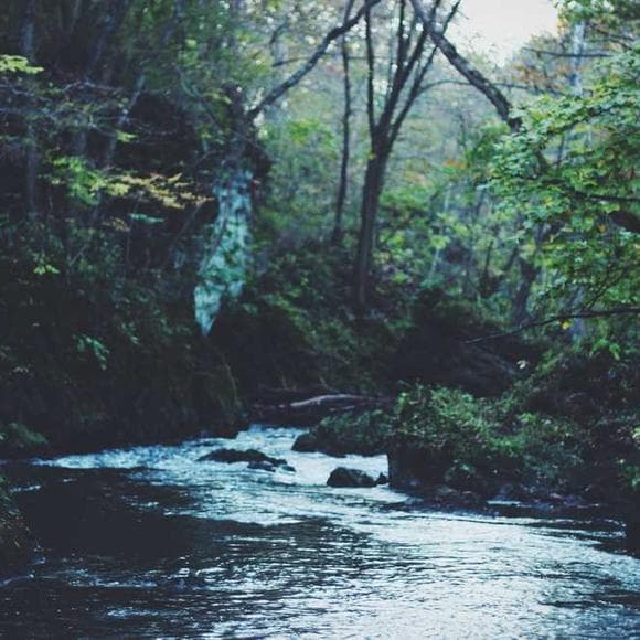 pema chodron Quotes Chains,Ease,Urges