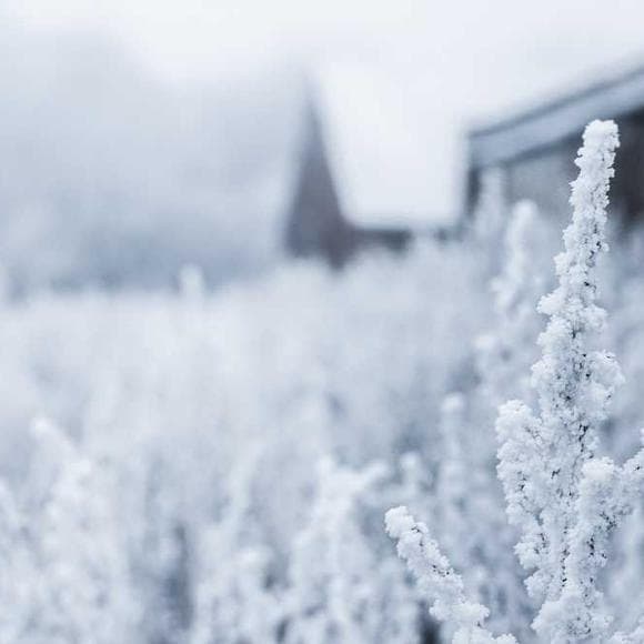 robert kiyosaki Quotes Changing Your Life,Your Dreams