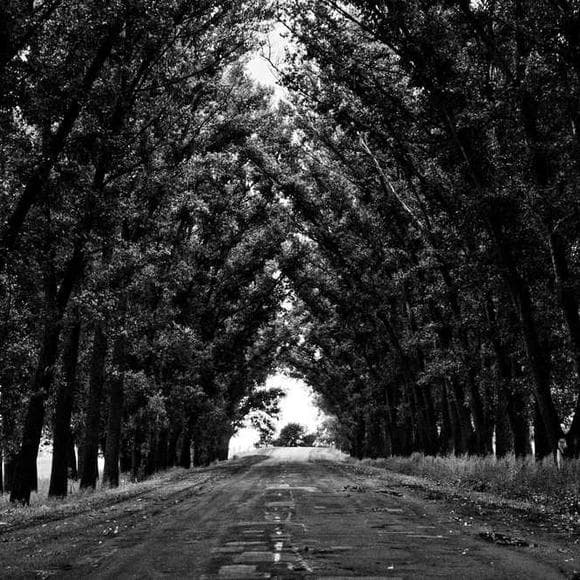 mehmet murat ildan Quotes Complexes,Chaotic,Devil