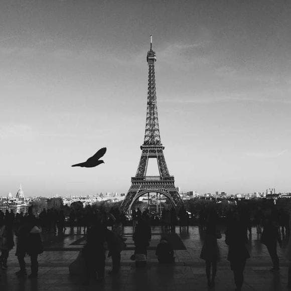 ernest lawrence Quotes Funny Travel,Midst,Cherish