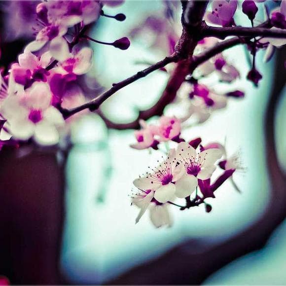 janet frame Quotes Spite,March,Winter