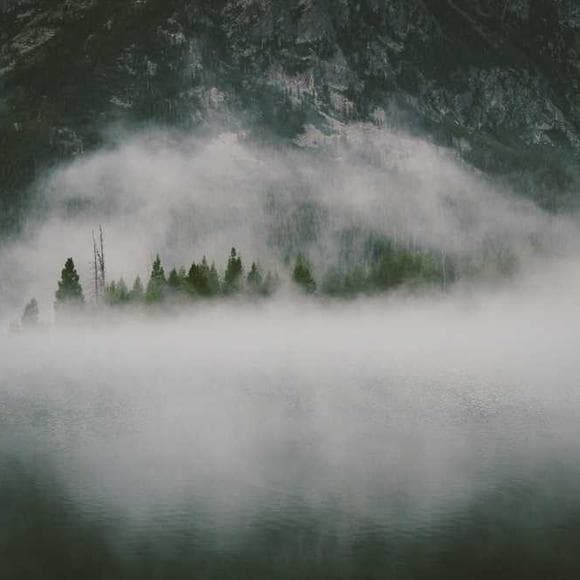 thomas bernhard Quotes Crime,Dungeons,Childhood
