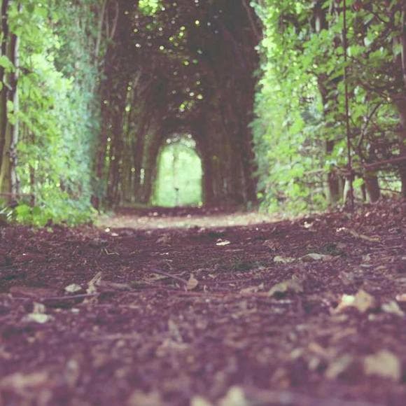 c. s. lewis Quotes God,Remember,Comes And Goes