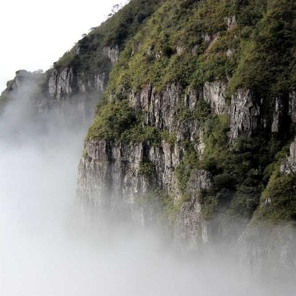mo yan Quotes Profound,Circumstances,Difficult Circumstances