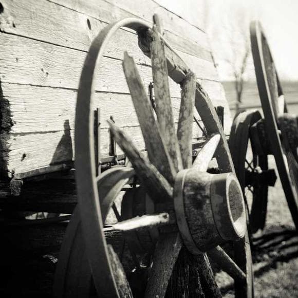 abraham lincoln Quotes Civil War,Favors,Colonization