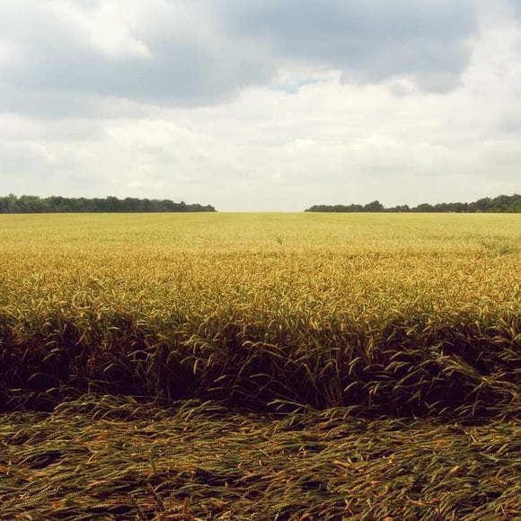 gordon b. hinckley Quotes Obligation,Reliance,Self Reliance