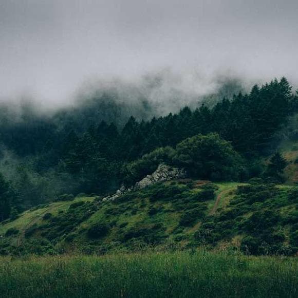 yvon chouinard Quotes Classic,Technology,Climbs
