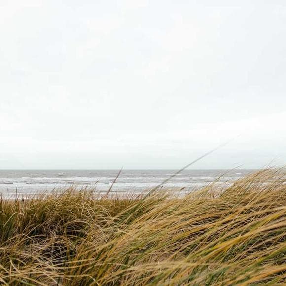 thomas more Quotes Hope,Drowning,Straws