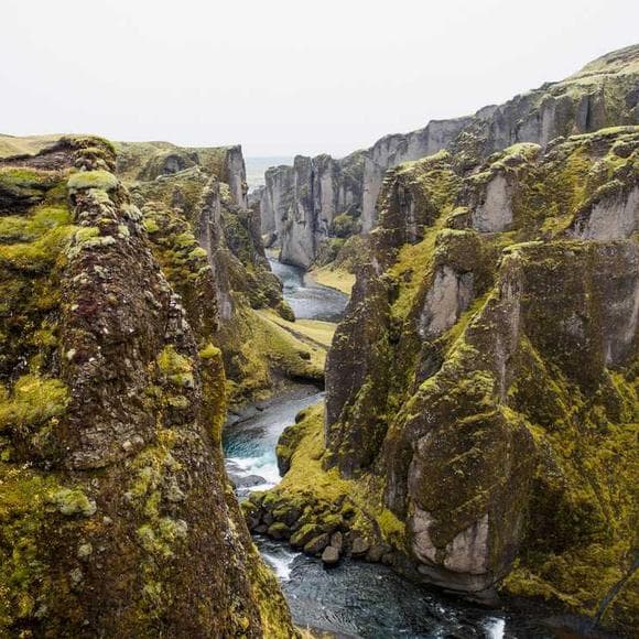 todd young Quotes Solve,Emissions,Flawed