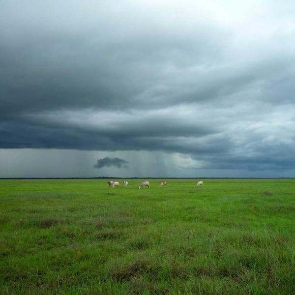 ralph waldo emerson Quotes Indian,Summer Rain,Grim