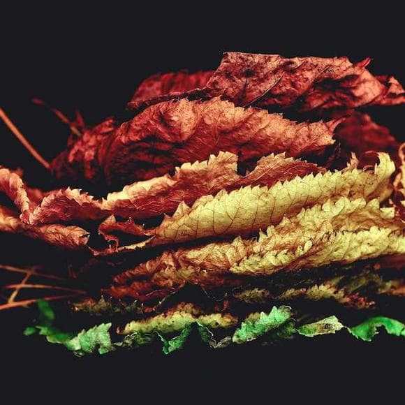 jacqueline bisset Quotes Visuals,Textiles,Colour