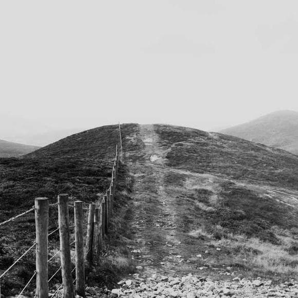 plato Quotes Compare,Theme,Delighted