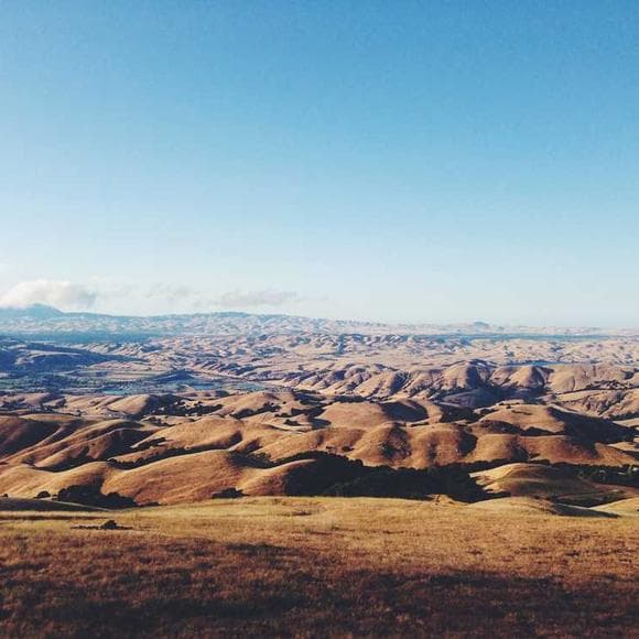 jack kornfield Quotes Compassion,Seeds,Resentment