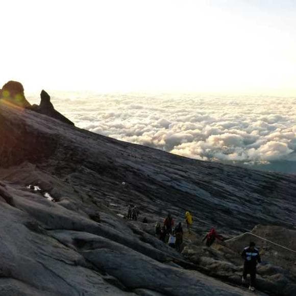 cheryl strayed Quotes Complexity,Examination,Contradiction