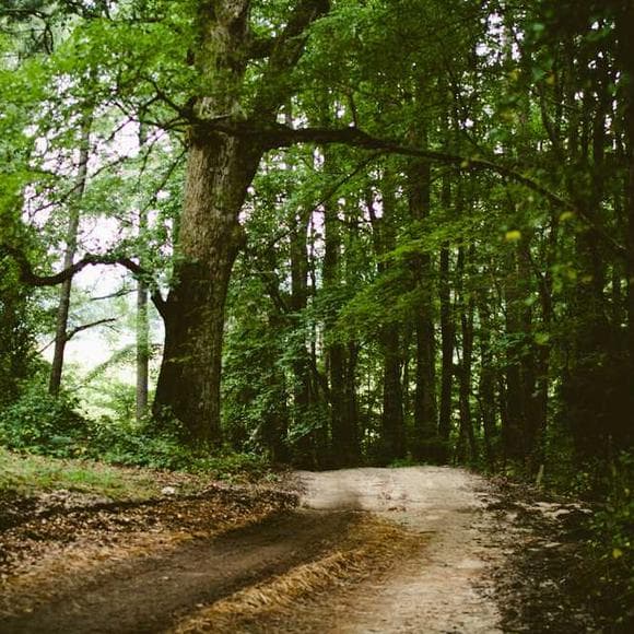 gaston bachelard Quotes Tendencies,Integrity,Human Condition