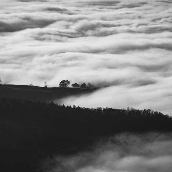 frederick lenz Quotes Conscious,Mysticism,Conscious Mind