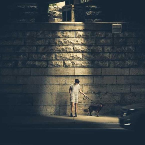c. s. lewis Quotes Removal,Consent,Kindness To Animals