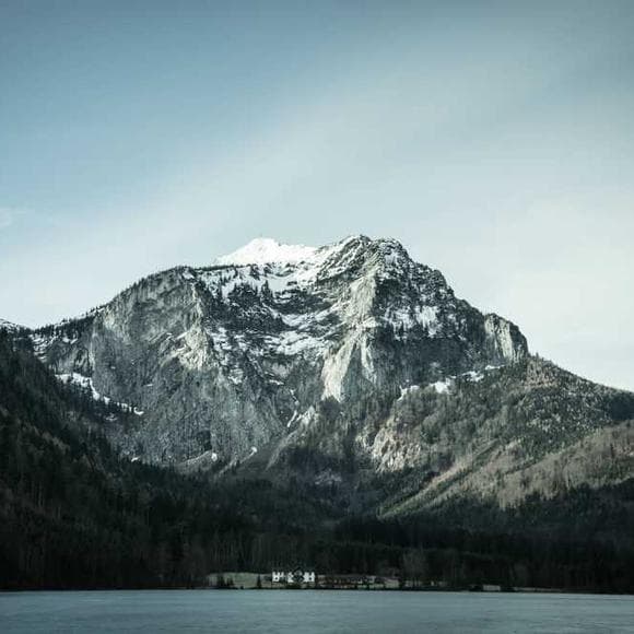 gary snyder Quotes Ecology,Nature Conservation,Conservation