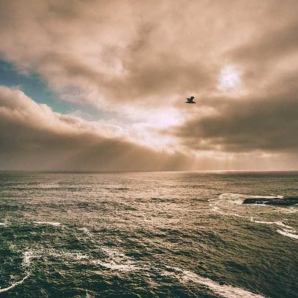 anne carson Quotes Constructs,Surface,Convincing