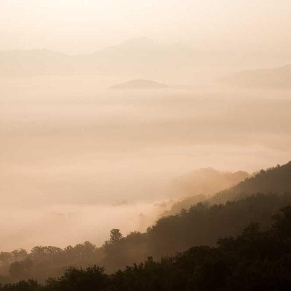 caroline myss Quotes Meditation,Contemplation