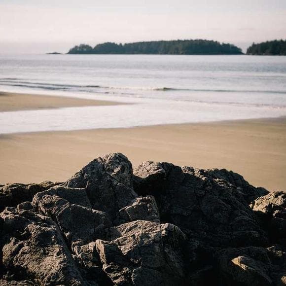 thomas merton Quotes Temptation,Statues,Contemplative