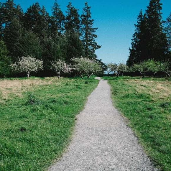bill mckibben Quotes Damage,Countryside,Gas