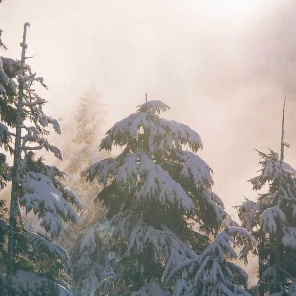 edward abbey Quotes Hiking,Trekking,Too Short