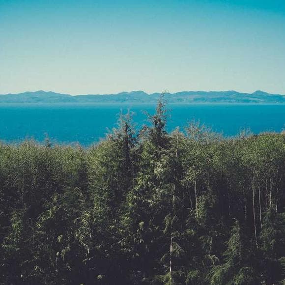 henry david thoreau Quotes Creativity And Writing,Insightful,Short Story