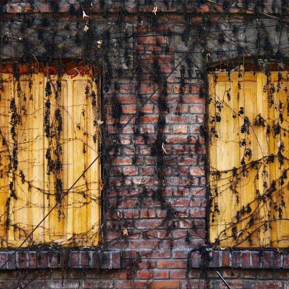 j. k. rowling Quotes Drains,Creatures,Decay