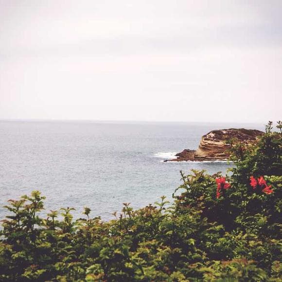 jennifer niven Quotes Cried,Shells,Leaving Me