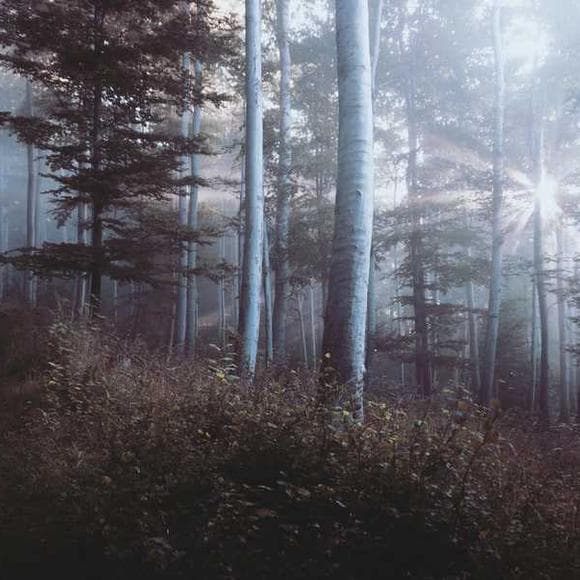 elizabeth gaskell Quotes Wander,Scene,One Half