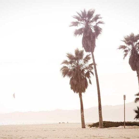 jim rohn Quotes Greatness,Opportunity,Financial
