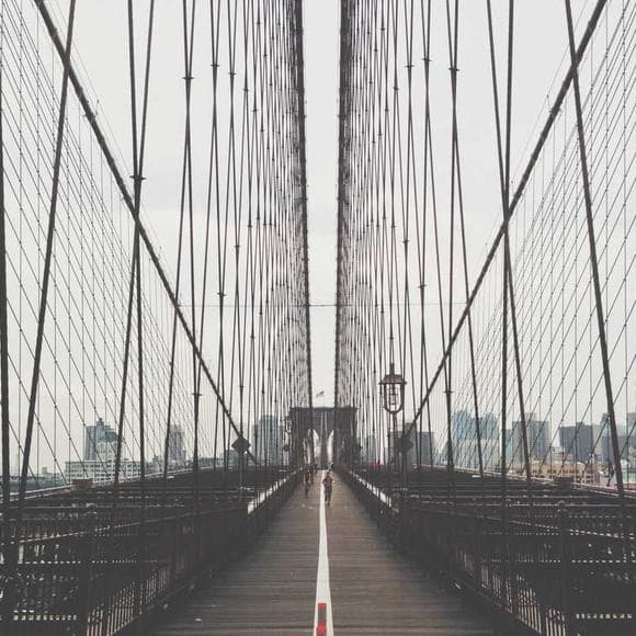 rush limbaugh Quotes New York,Happened,New York Times