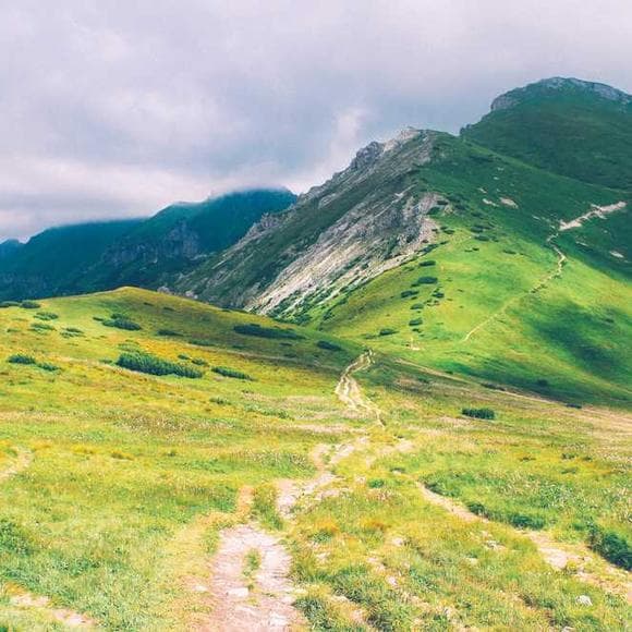 walt whitman Quotes Primitive,Curious,Fables