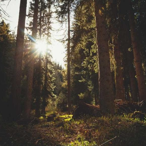 john muir Quotes Inner Strength,Emotion,Strength