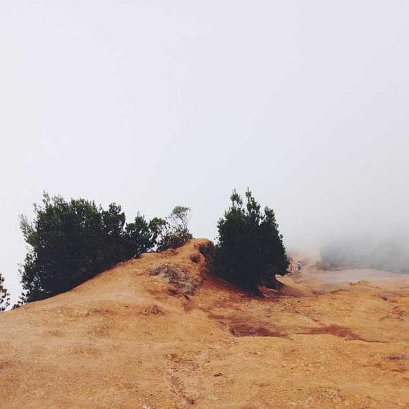 yasmin mogahed Quotes Death,Islamic Wisdom,Heaven