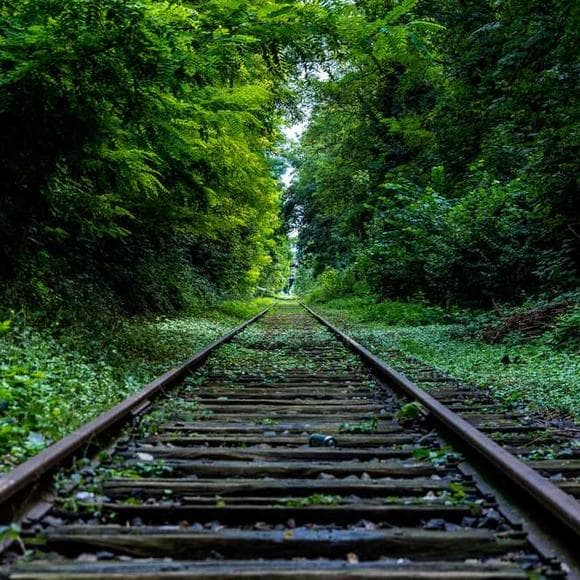 joseph sobran Quotes Destination,Defining,Ideals