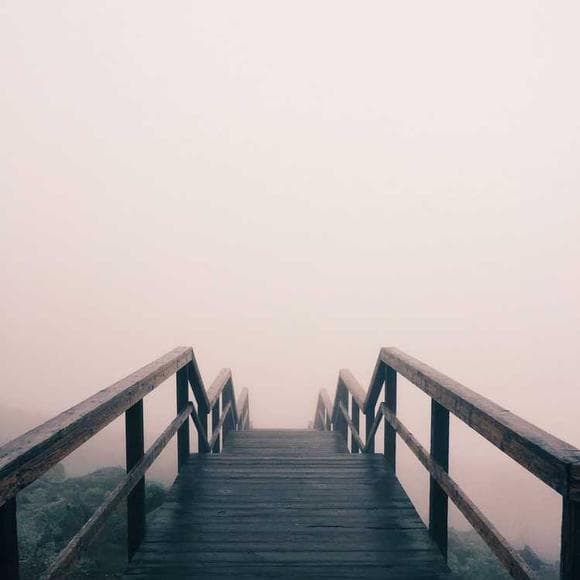 alice sebold Quotes Dreams Do Come True,Inspiring,Deep Thought