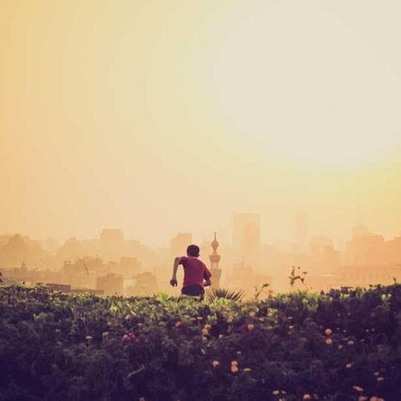 aleksandar hemon Quotes Deep Thought,Understanding,Home Sweet Home