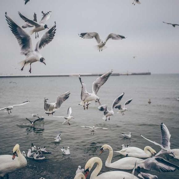 gustave flaubert Quotes Possession,Delicate,Esteem
